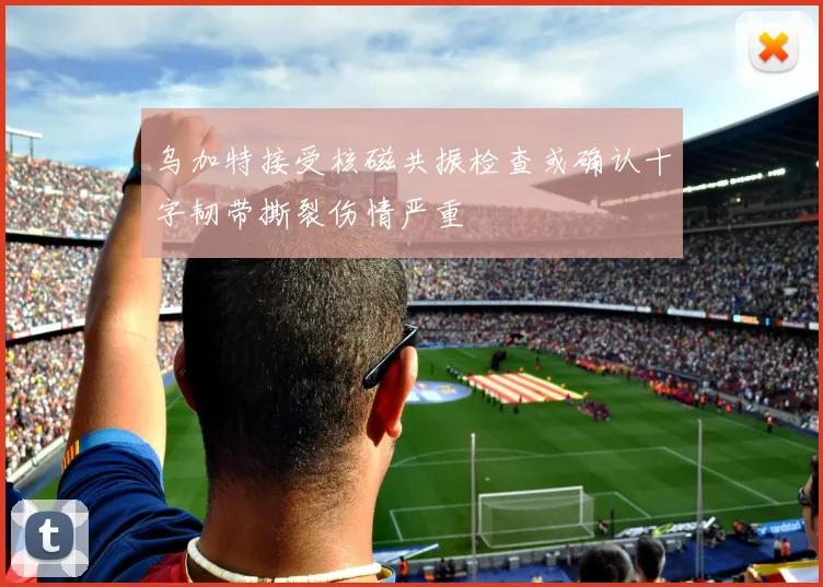 乌加特接受核磁共振检查或确认十字韧带撕裂伤情严重