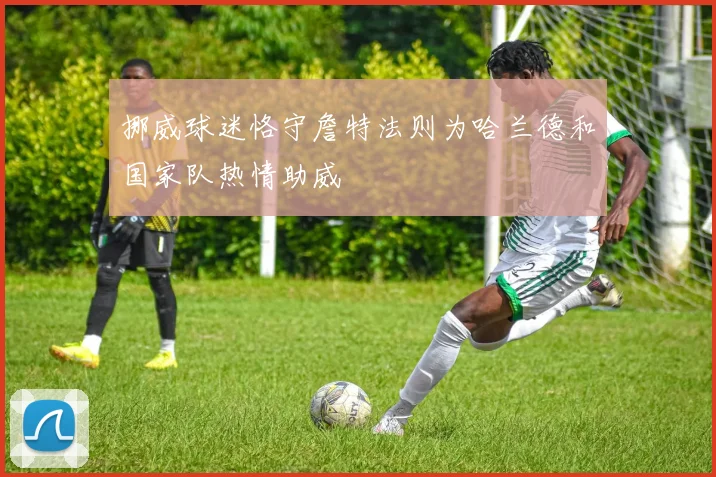 挪威球迷恪守詹特法则为哈兰德和国家队热情助威