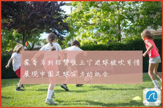 蒙哥马利称赞张玉宁进球被吹可惜展现中国足球实力的机会