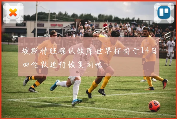 埃斯特旺确认缺席世界杯将于14日回伦敦进行恢复训练